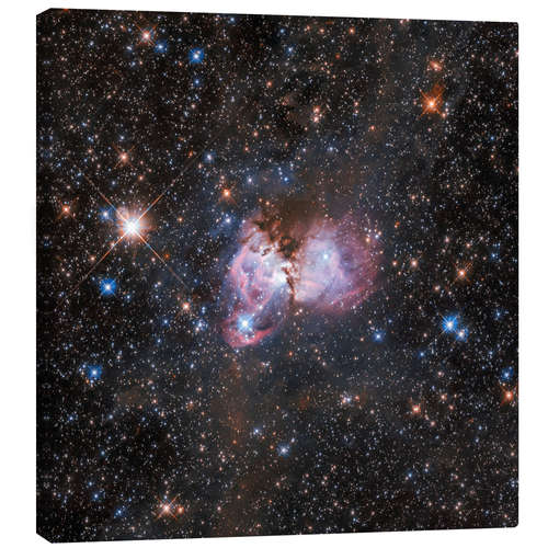 Canvas print Tarantula Nebula