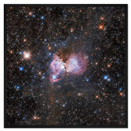 Gerahmter Kunstdruck Vogelspinnennebel