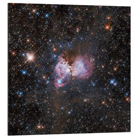 Magnettafel Vogelspinnennebel