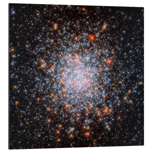 Aluminiumsbilde NGC 1866 globular cluster