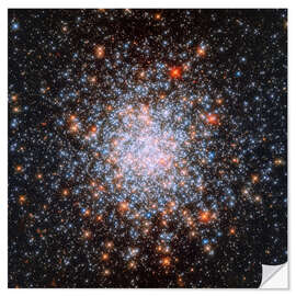 Muursticker NGC 1866 globular cluster