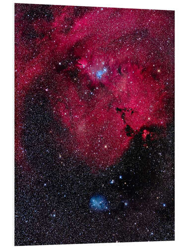 Foam board print Cone Nebula and Christmas Tree Cluster of Monoceros