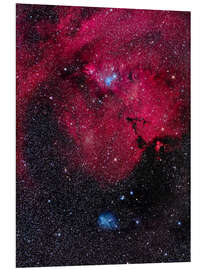 Foam board print Cone Nebula and Christmas Tree Cluster of Monoceros