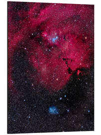 Magnettafel Kegelnebel und Weihnachtsbaumcluster von Monoceros