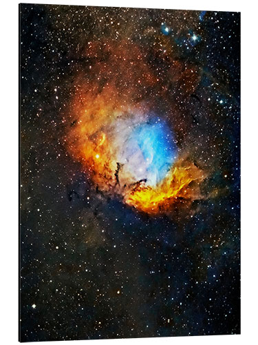 Aluminium print Tulip nebula