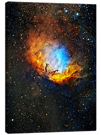 Canvas print Tulip nebula