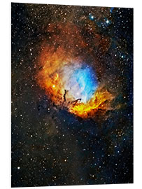 Foam board print Tulip nebula