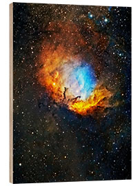 Wood print Tulip nebula