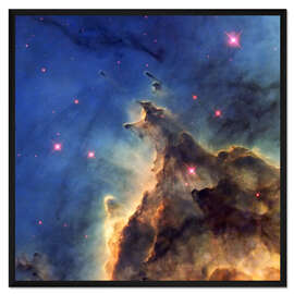 Gerahmter Kunstdruck Affenkopf Nebel