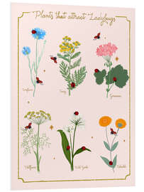 Foam board print Flowers and ladybugs