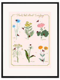Gerahmter Kunstdruck Blumen und Marienkäfer