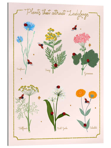 Tableau en plexi-alu Fleurs et coccinelles