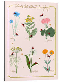 Magnettafel Blumen und Marienkäfer
