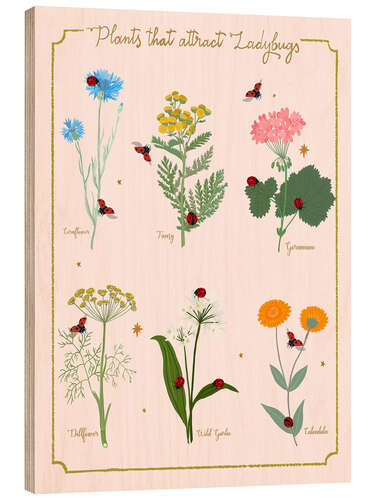 Wood print Flowers and ladybugs