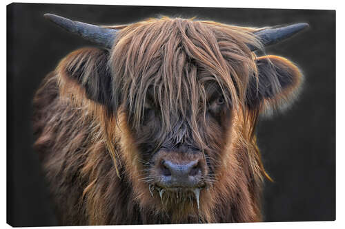 Leinwandbild Junge Highlanderin
