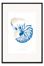 Gerahmter Kunstdruck Nautilus