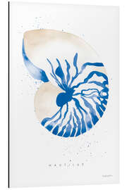 Magnettafel Nautilus