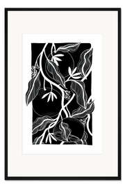 Gerahmter Kunstdruck Blutorangen - schwarz-weiße botanische Orangen II