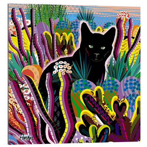 Gallery Print Schwarze Katze im Garten