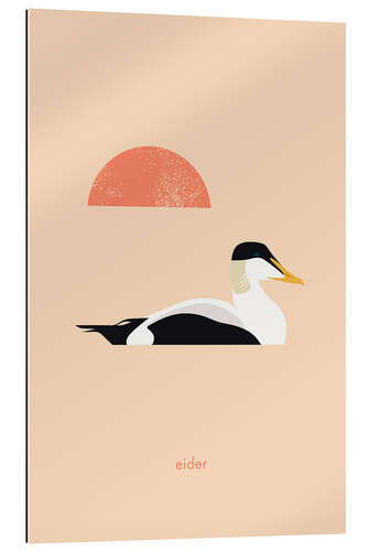 Galleriprint Eider