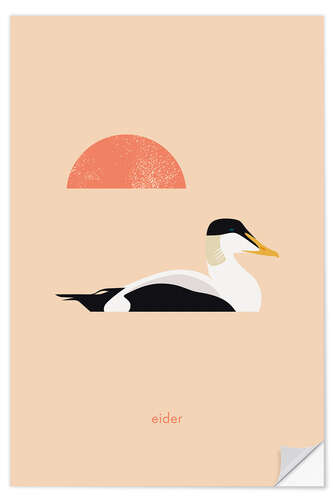 Wandsticker Eider