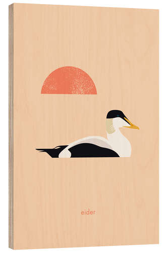 Wood print Eider