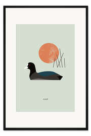 Gerahmter Kunstdruck Coot