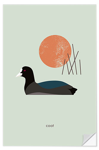 Wall sticker Coot