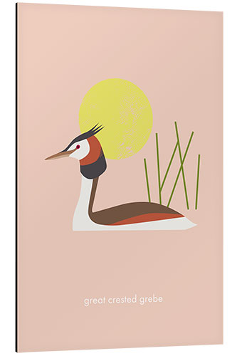 Aluminium print Great crested grebe