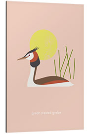 Tableau en aluminium Great crested grebe