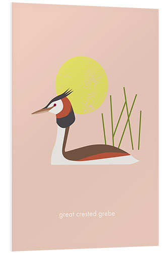 Tableau en PVC Great crested grebe