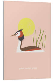 Magnettafel Great crested grebe