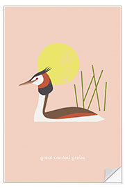 Wall sticker Great crested grebe