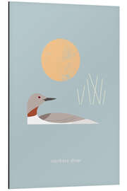 Magnettafel Northern Diver