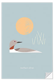 Selvklebende plakat Northern Diver