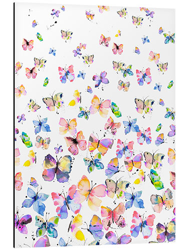 Aluminium print Colorful butterflies