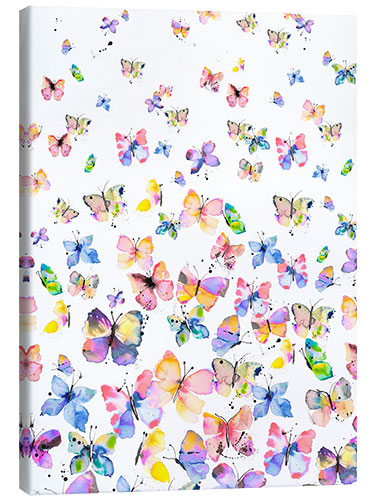 Canvas print Colorful butterflies