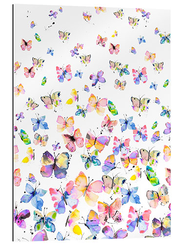 Galleriprint Colorful butterflies