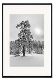 Gerahmter Kunstdruck Wintertraum Schwarzweiß