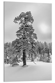 Gallery Print Wintertraum Schwarzweiß