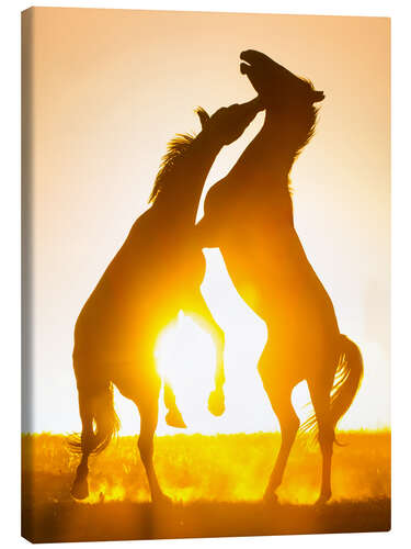 Canvas print Two Horses in the Sunset