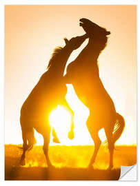 Vinilo para la pared Two Horses in the Sunset