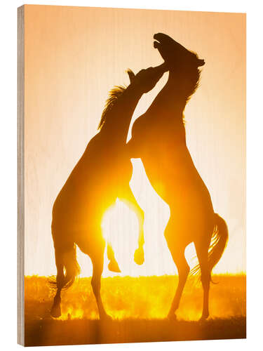 Hout print Two Horses in the Sunset