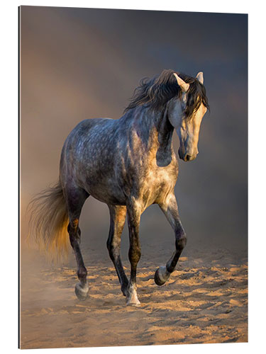 Gallery print Andalusian Between Light and Dust