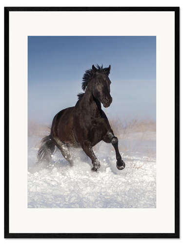 Impresión de arte enmarcada Caballo galopa por la nieve