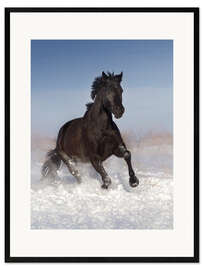 Impression artistique encadrée Cheval galope dans la neige