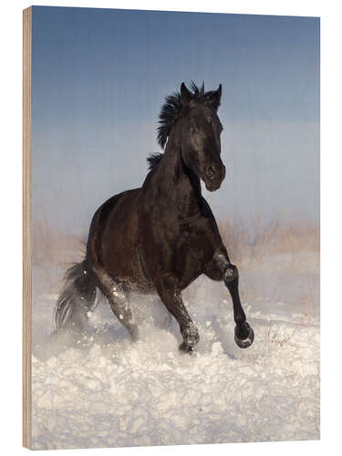 Hout print Horse Galloping through the Snow