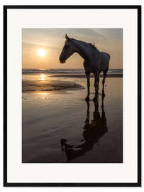 Impresión de arte enmarcada Walk on the Beach with a White Horse