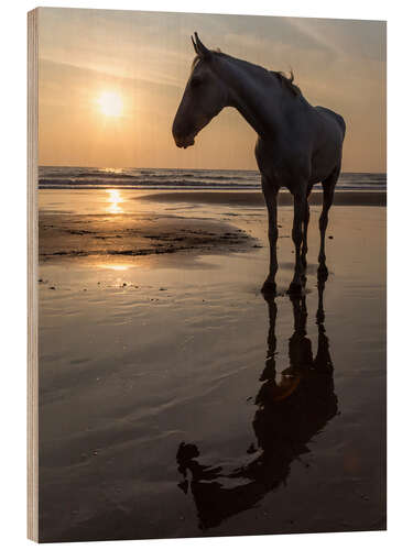 Wood print Walk on the Beach with a White Horse