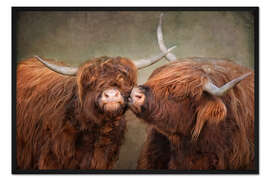 Gerahmter Kunstdruck Küss mich - Hochlandrinder